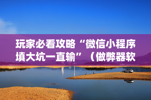 玩家必看攻略“微信小程序填大坑一直输”（做弊器软件下载)