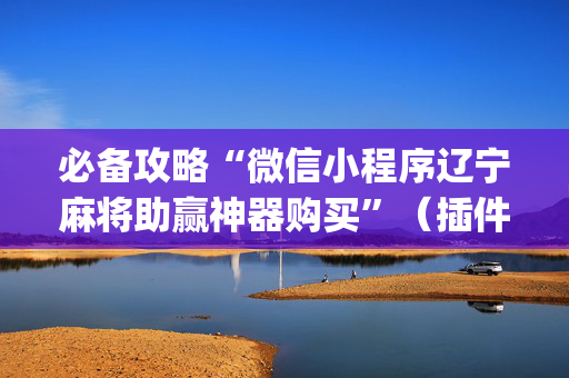 必备攻略“微信小程序辽宁麻将助赢神器购买”（插件可信吗)