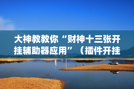 大神教教你“财神十三张开挂辅助器应用”（插件开挂免费AI)