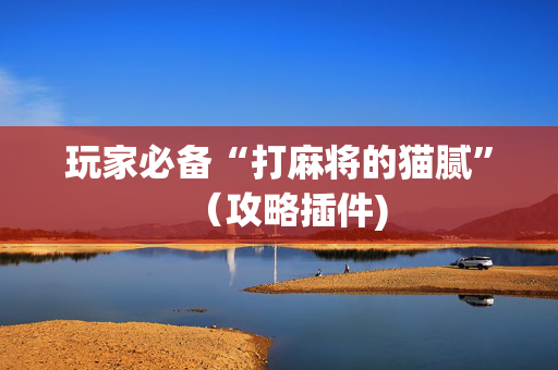 玩家必备“打麻将的猫腻”（攻略插件)