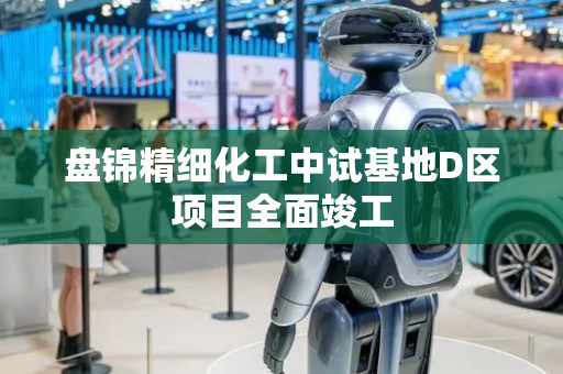 盘锦精细化工中试基地D区项目全面竣工