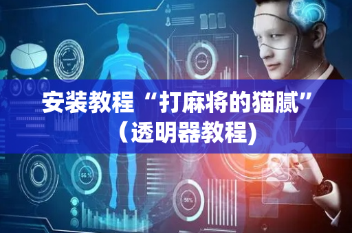 安装教程“打麻将的猫腻”（透明器教程)