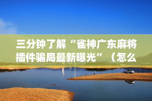 三分钟了解“雀神广东麻将插件骗局最新曝光”（怎么让系统给自己好牌)