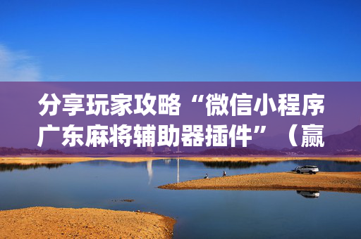 分享玩家攻略“微信小程序广东麻将辅助器插件”（赢的技巧规律)