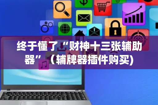 终于懂了“财神十三张辅助器”（辅牌器插件购买)
