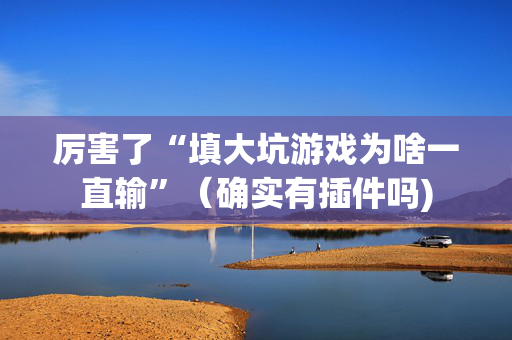 厉害了“填大坑游戏为啥一直输”（确实有插件吗)