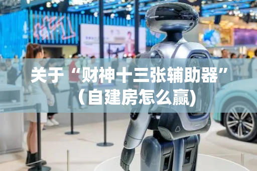 关于“财神十三张辅助器”（自建房怎么赢)