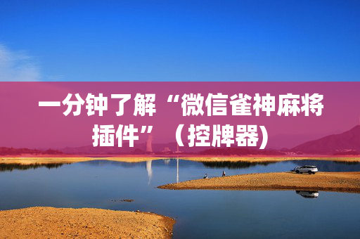 一分钟了解“微信雀神麻将插件”（控牌器)