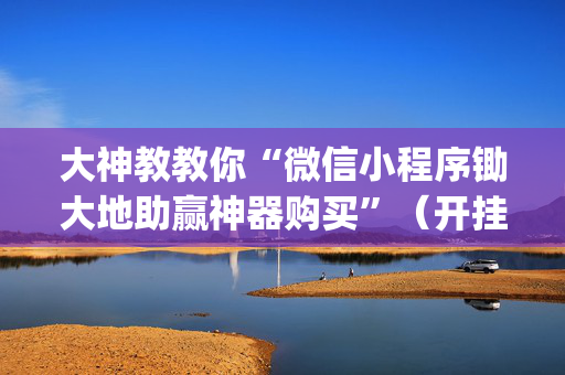 大神教教你“微信小程序锄大地助赢神器购买”（开挂神器下载)