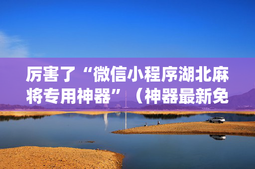 厉害了“微信小程序湖北麻将专用神器”（神器最新免费)