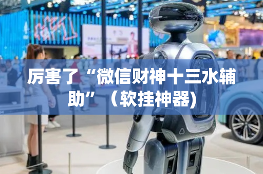 厉害了“微信财神十三水辅助”（软挂神器)