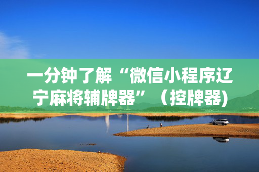 一分钟了解“微信小程序辽宁麻将辅牌器”（控牌器)