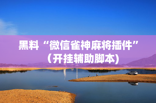 黑料“微信雀神麻将插件”（开挂辅助脚本)