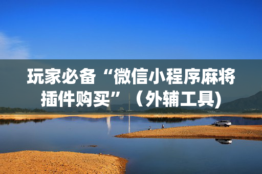 玩家必备“微信小程序麻将插件购买”（外辅工具)