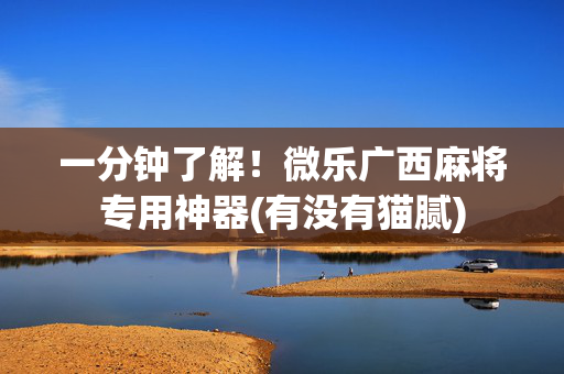一分钟了解！微乐广西麻将专用神器(有没有猫腻)