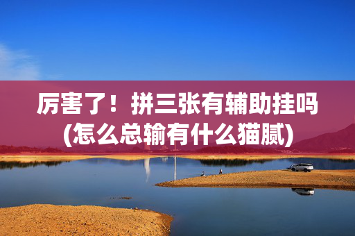 厉害了！拼三张有辅助挂吗(怎么总输有什么猫腻)