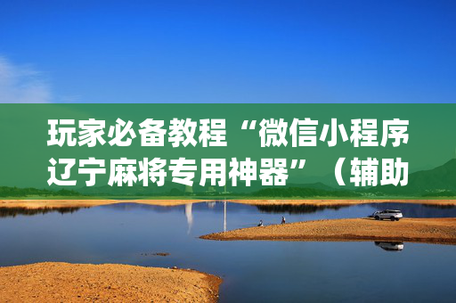 玩家必备教程“微信小程序辽宁麻将专用神器”（辅助神器免费)