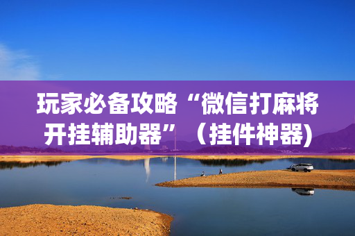 玩家必备攻略“微信打麻将开挂辅助器”（挂件神器)