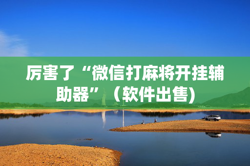 厉害了“微信打麻将开挂辅助器”（软件出售)