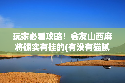 玩家必看攻略！会友山西麻将确实有挂的(有没有猫腻)