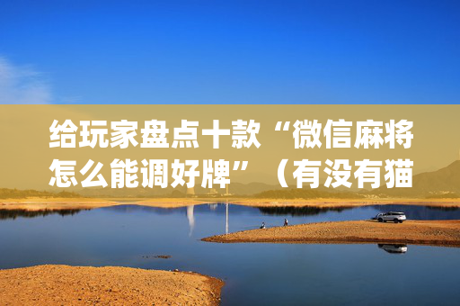 给玩家盘点十款“微信麻将怎么能调好牌”（有没有猫腻)