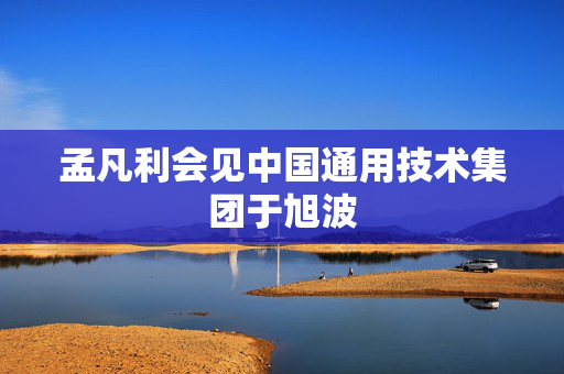 孟凡利会见中国通用技术集团于旭波