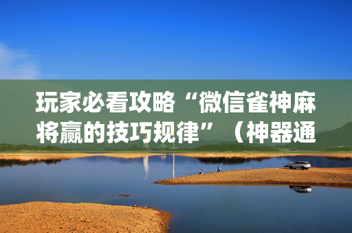 玩家必看攻略“微信雀神麻将赢的技巧规律”（神器通用版)