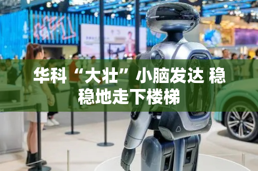 华科“大壮”小脑发达 稳稳地走下楼梯