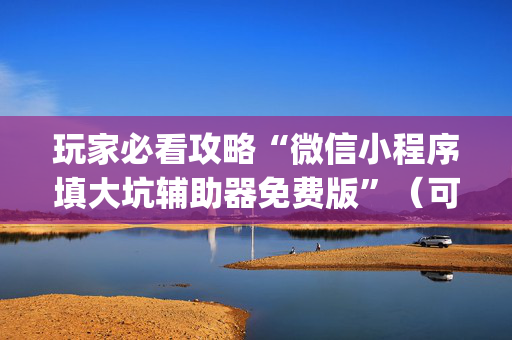 玩家必看攻略“微信小程序填大坑辅助器免费版”（可以设置输赢吗)