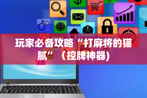 玩家必备攻略“打麻将的猫腻”（控牌神器)