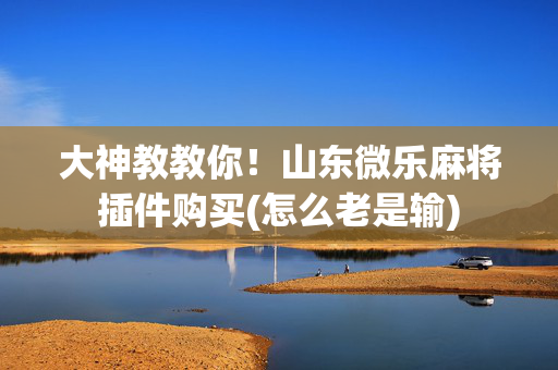 大神教教你！山东微乐麻将插件购买(怎么老是输)