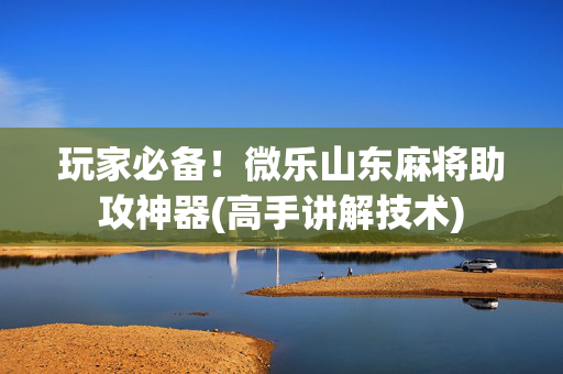 玩家必备！微乐山东麻将助攻神器(高手讲解技术)