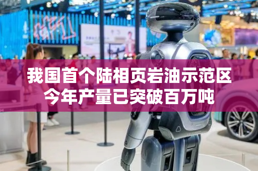 我国首个陆相页岩油示范区今年产量已突破百万吨