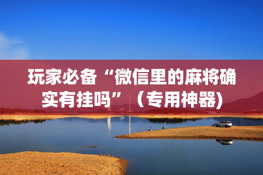 玩家必备“微信里的麻将确实有挂吗”（专用神器)