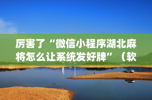 厉害了“微信小程序湖北麻将怎么让系统发好牌”（软件出售)