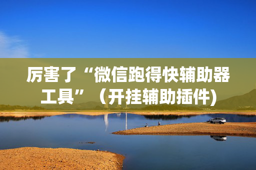 厉害了“微信跑得快辅助器工具”（开挂辅助插件)