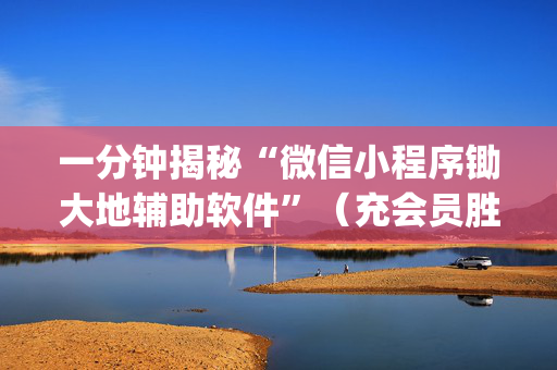 一分钟揭秘“微信小程序锄大地辅助软件”（充会员胜率高)