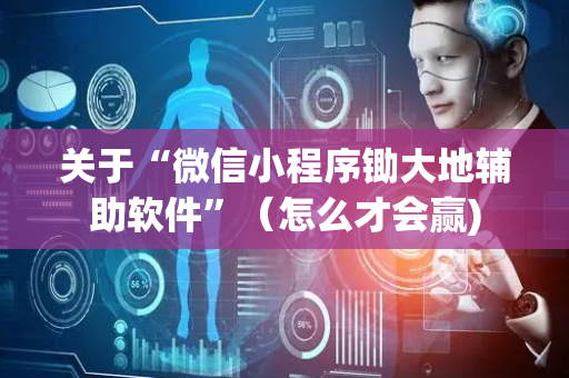 关于“微信小程序锄大地辅助软件”（怎么才会赢)