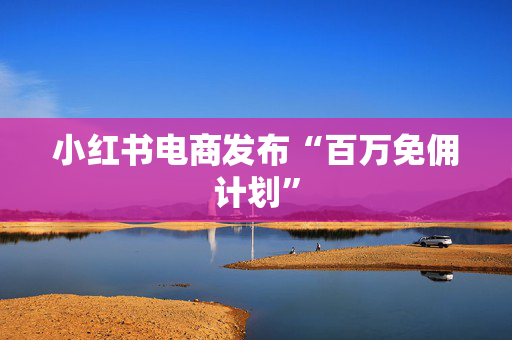 小红书电商发布“百万免佣计划”