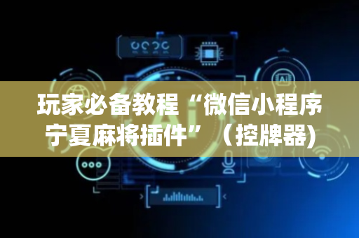 玩家必备教程“微信小程序宁夏麻将插件”（控牌器)