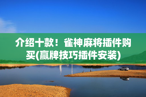 介绍十款！雀神麻将插件购买(赢牌技巧插件安装)