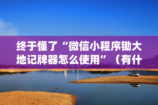 终于懂了“微信小程序锄大地记牌器怎么使用”（有什么规律)