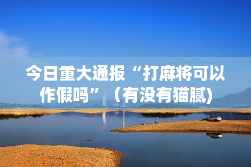 今日重大通报“打麻将可以作假吗”（有没有猫腻)