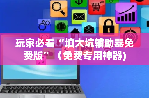 玩家必看“填大坑辅助器免费版”（免费专用神器)