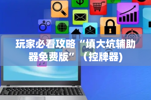 玩家必看攻略“填大坑辅助器免费版”（控牌器)