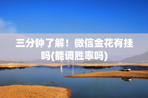 三分钟了解！微信金花有挂吗(能调胜率吗)