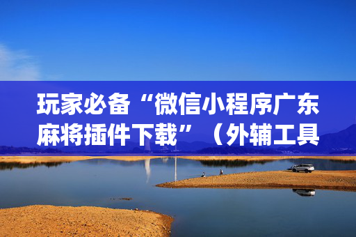 玩家必备“微信小程序广东麻将插件下载”（外辅工具)