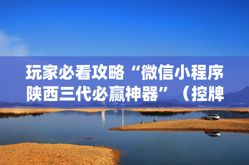 玩家必看攻略“微信小程序陕西三代必赢神器”（控牌器)