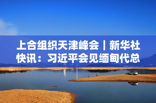 上合组织天津峰会｜新华社快讯：习近平会见缅甸代总统敏昂莱