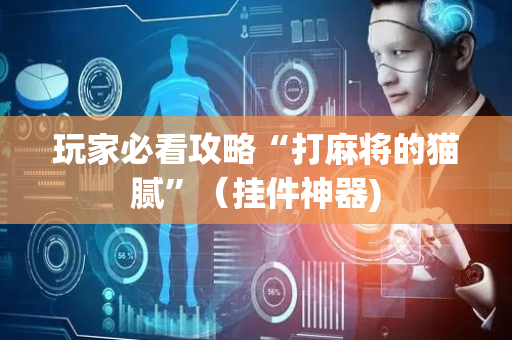 玩家必看攻略“打麻将的猫腻”（挂件神器)